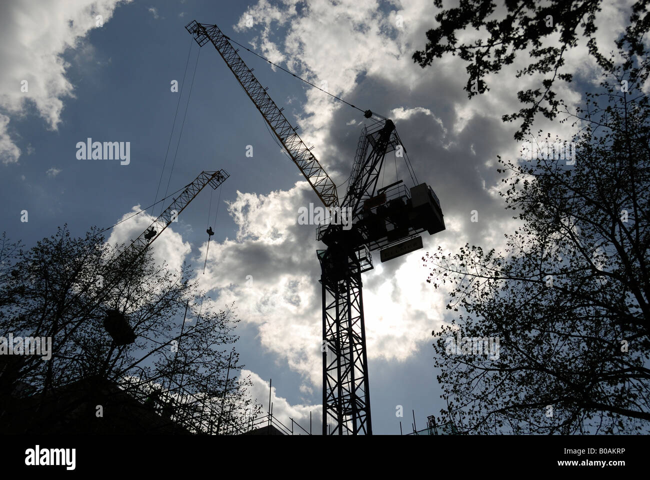Cranes at construction site Banque D'Images