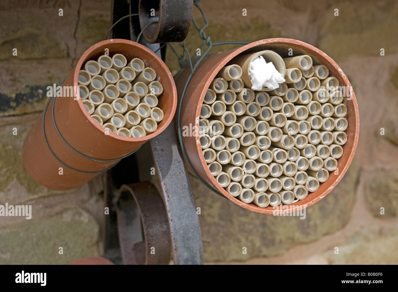 Maison de l'habitat des insectes artificiels pour attirer les abeilles coccinelles et autres insectes Banque D'Images