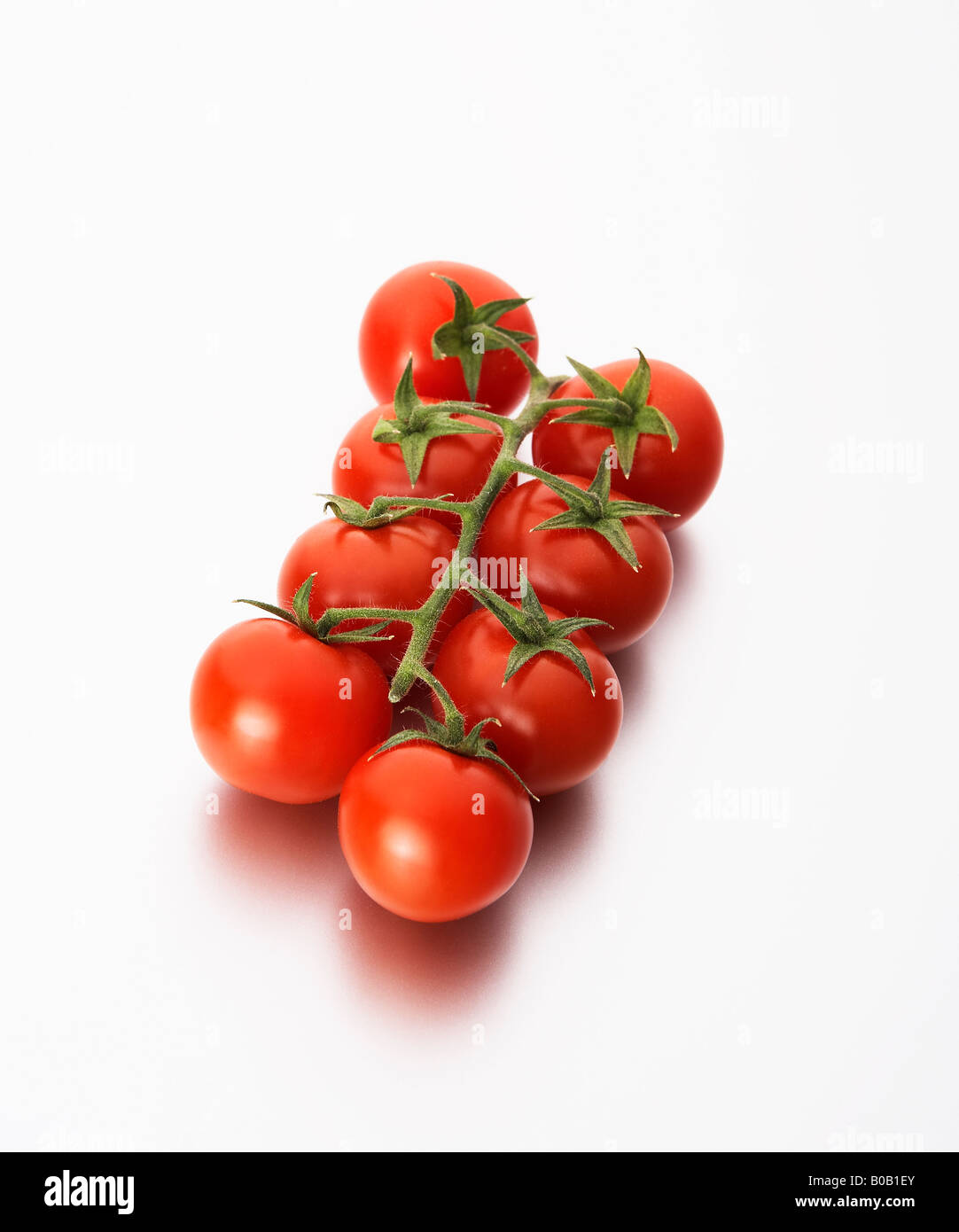 tomates de vigne Banque D'Images