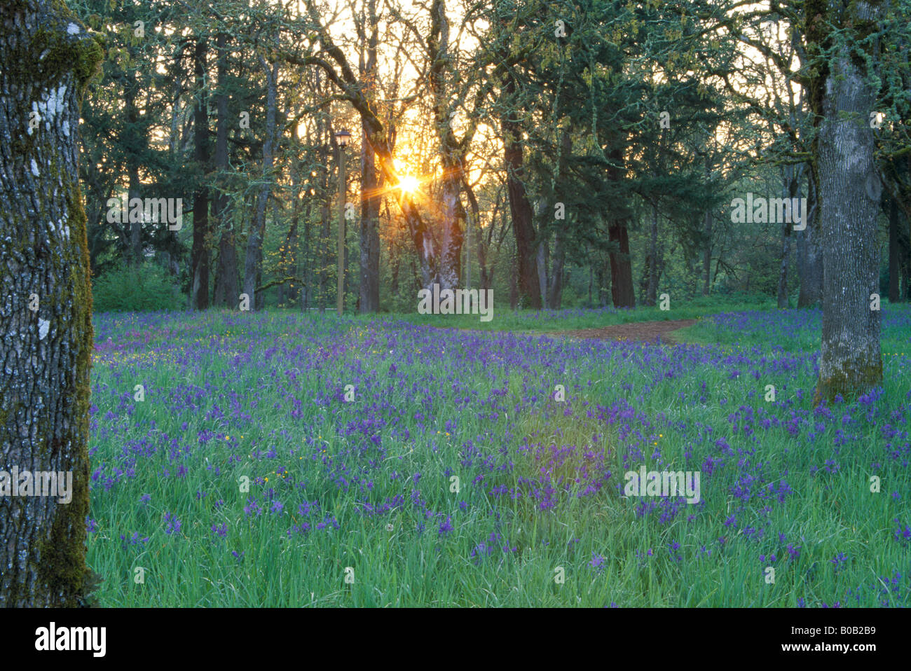 NA, USA, Utah, Salem. Domaine de Camas. Banque D'Images