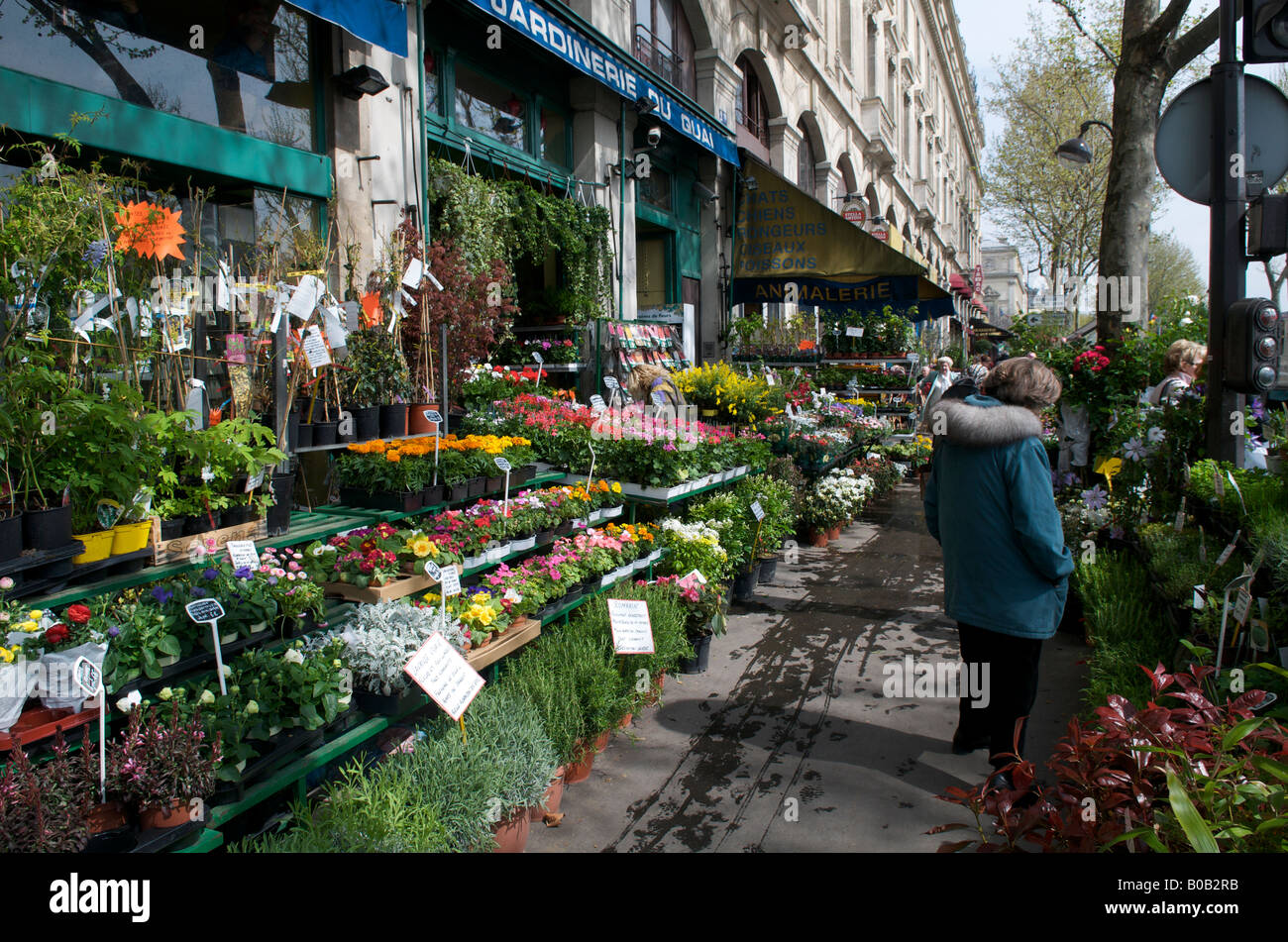 Les magasins de fleurs le long de la Seine à Paris Banque D'Images