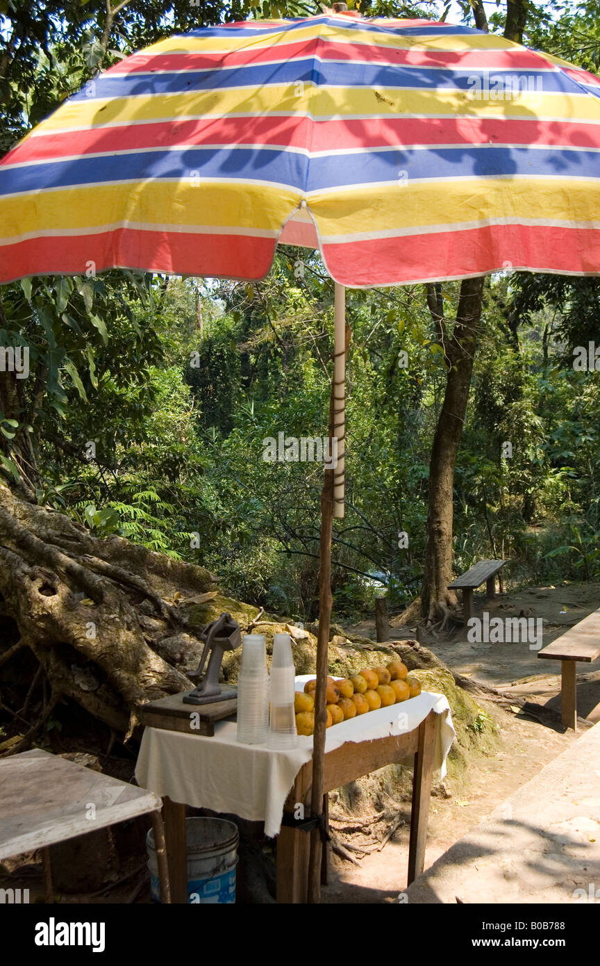 Stand de vente de fruits dans la région de Agua Azul Banque D'Images