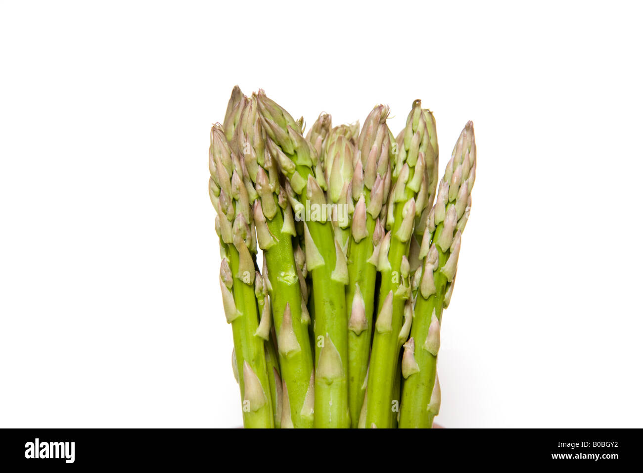 Bouquet d'asperges isolated on a white background studio. Banque D'Images