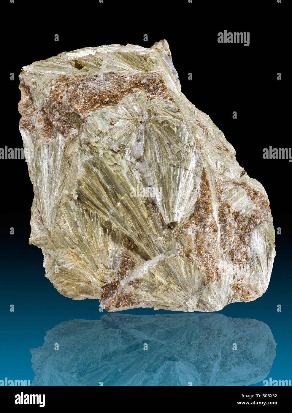 L'actinolite avec Phlogopite Dakota du Sud Banque D'Images