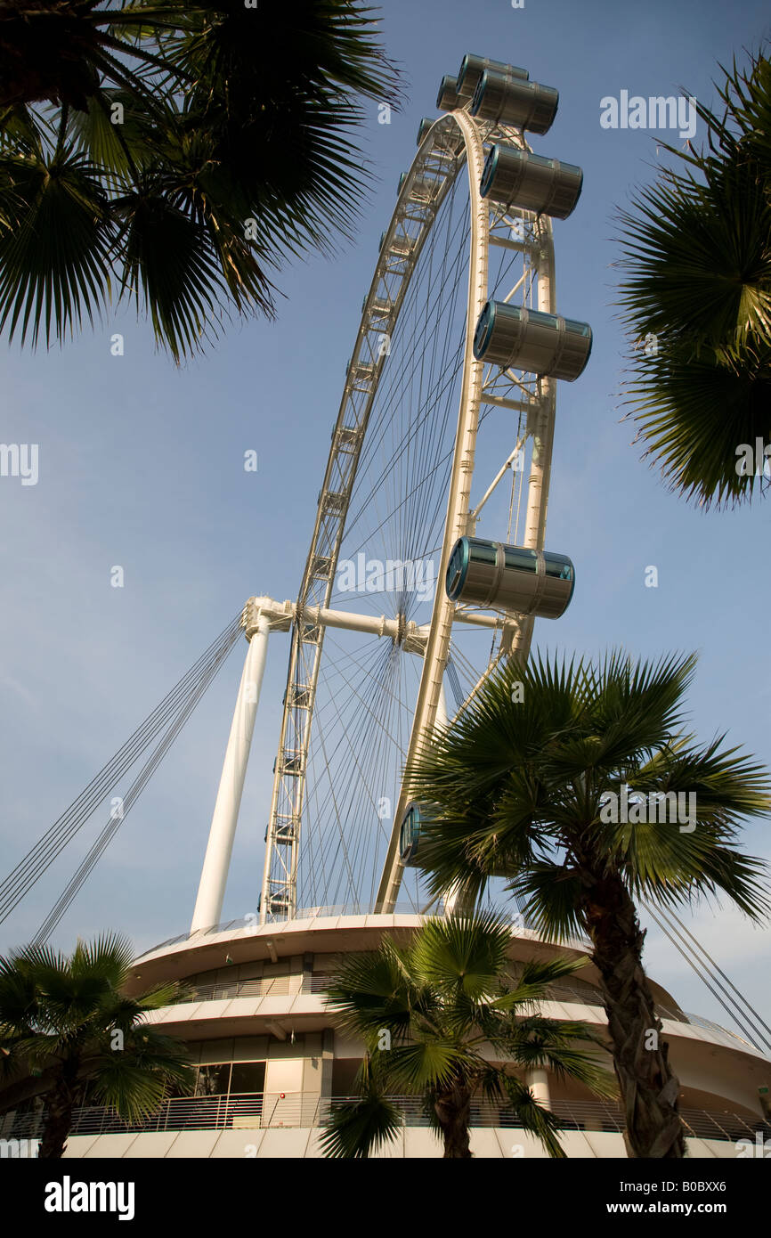 Singapore Flyer, la plus grande roue du monde montrant certains lanscaping attraction touristique de Banque D'Images