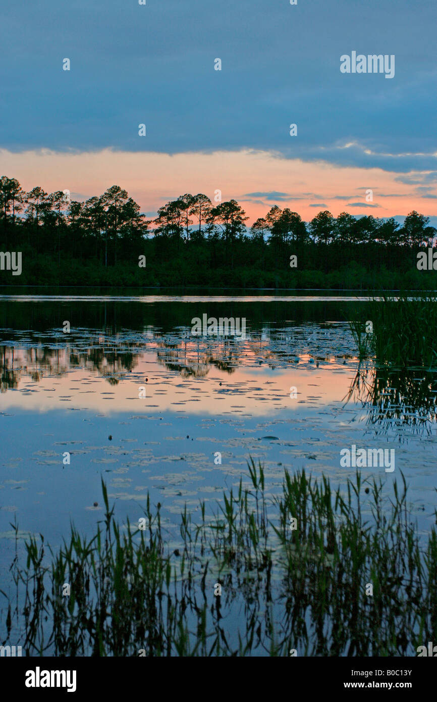 Stephen C. Foster State Park près de Okefenokee National Wildlife Refuge Banque D'Images