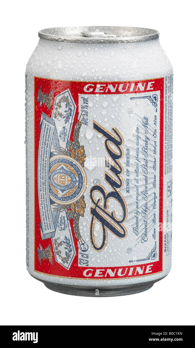La bière Budweiser pouvez couverts dans les gouttelettes d'eau Banque D'Images