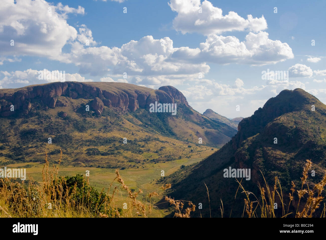Vue depuis une colline. Le paysage à la plus grande du parc national de Marakele, Afrique du Sud. Banque D'Images