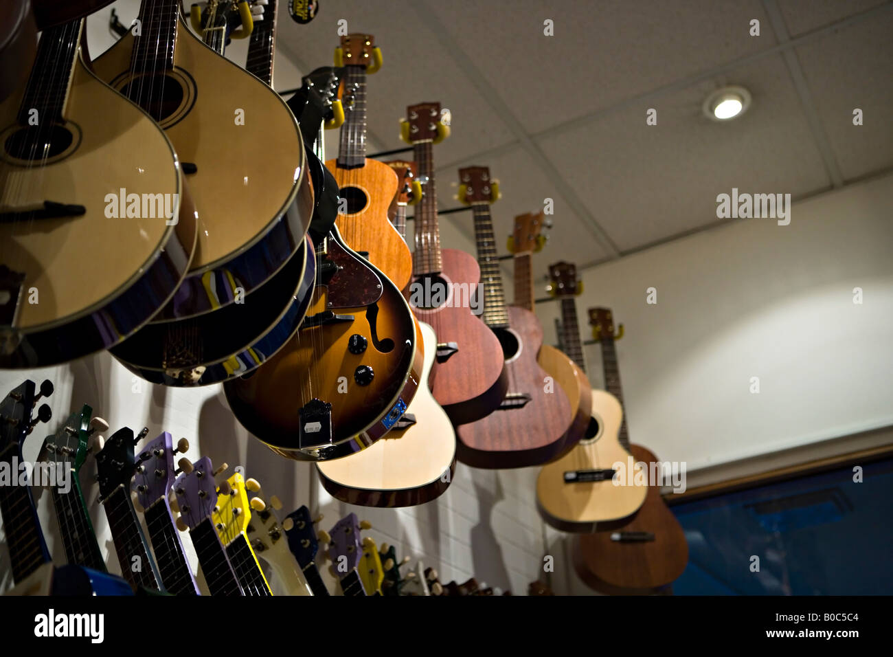 Affichage des instruments de musique dans un magasin à Cuba, dans le centre de Wellington New Zealand Banque D'Images