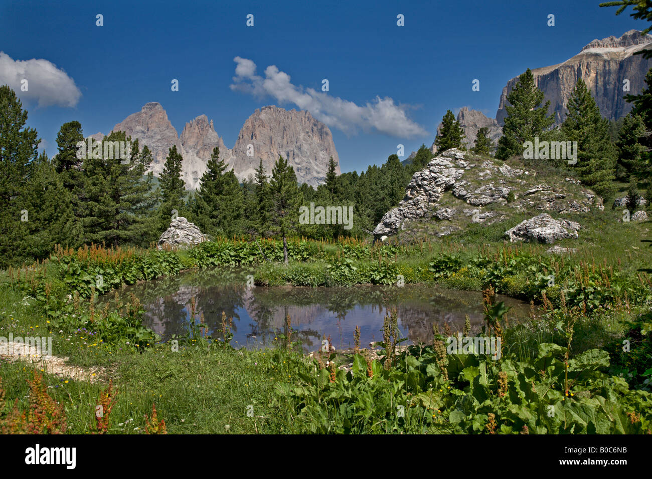 Sassolungo et Sella sommets et petit lac, Pordoi Pass, Dolomites, Italie Banque D'Images