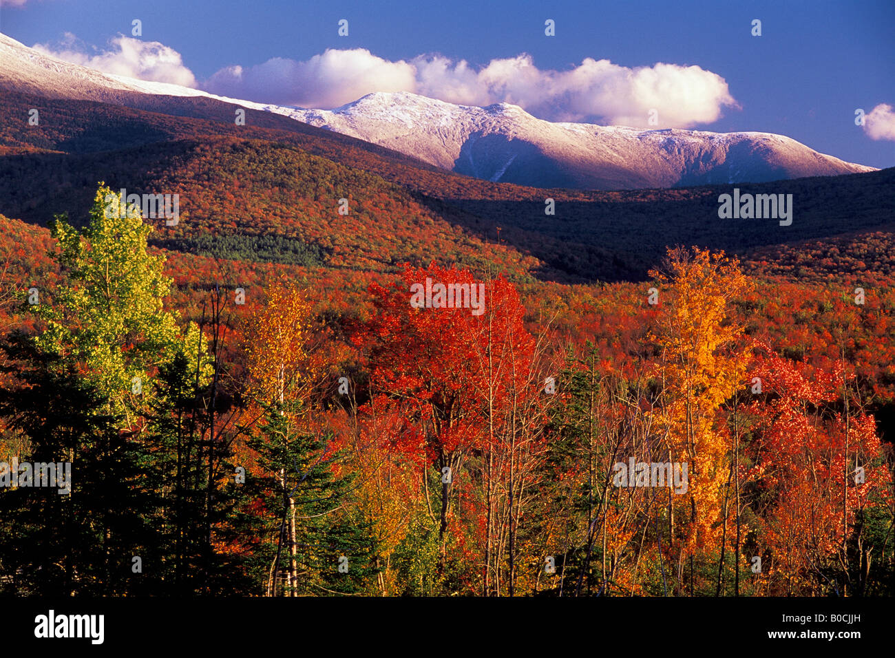 Montagnes présidentielles à l'automne la Forêt nationale des Montagnes Blanches du New Hampshire USA Banque D'Images