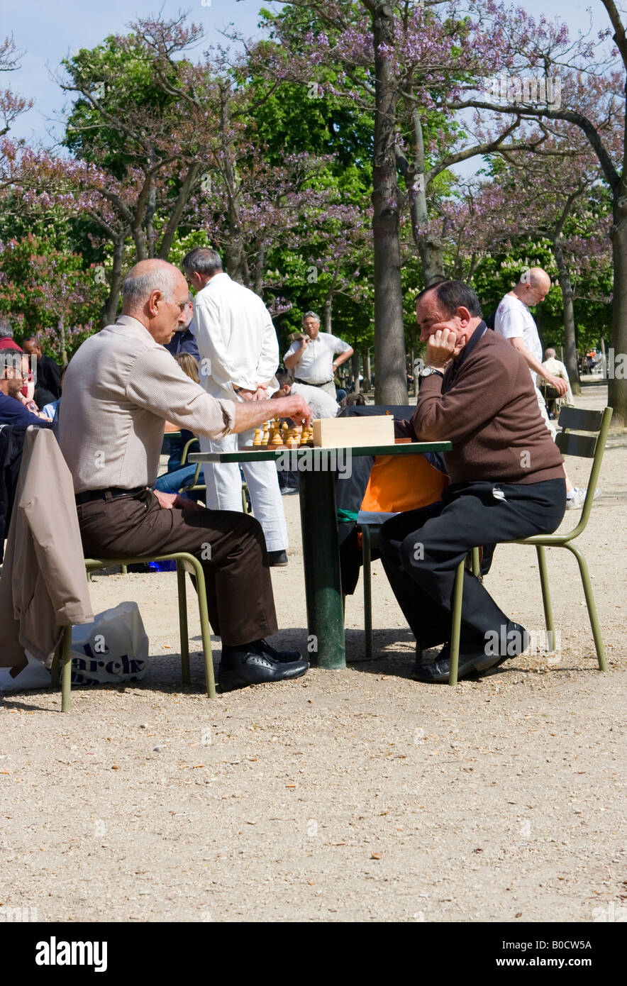 Joueurs d'échecs dans le Jardin du Luxembourg, Paris, France Banque D'Images