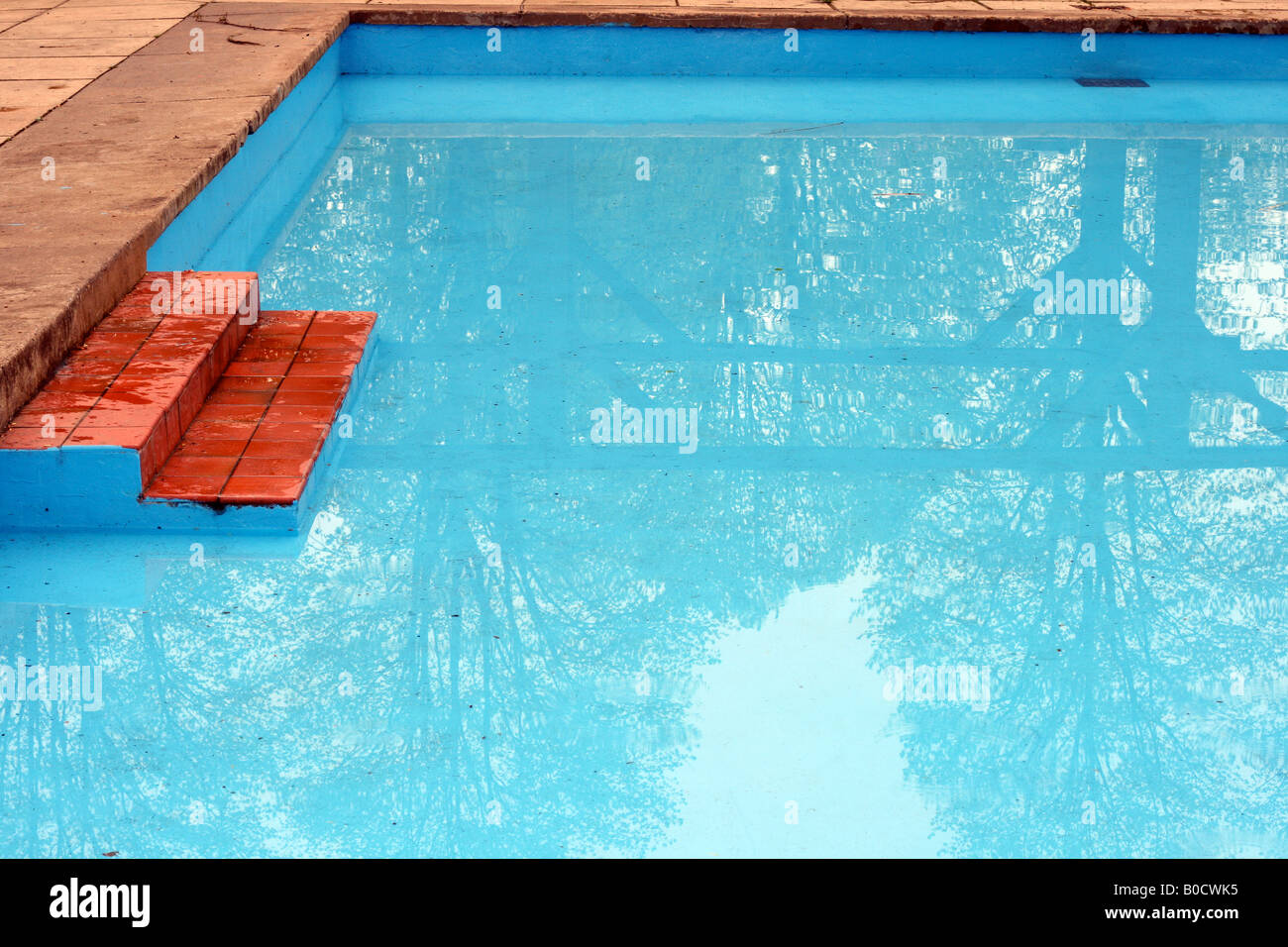 Reflet d'arbres en bleu piscine Banque D'Images