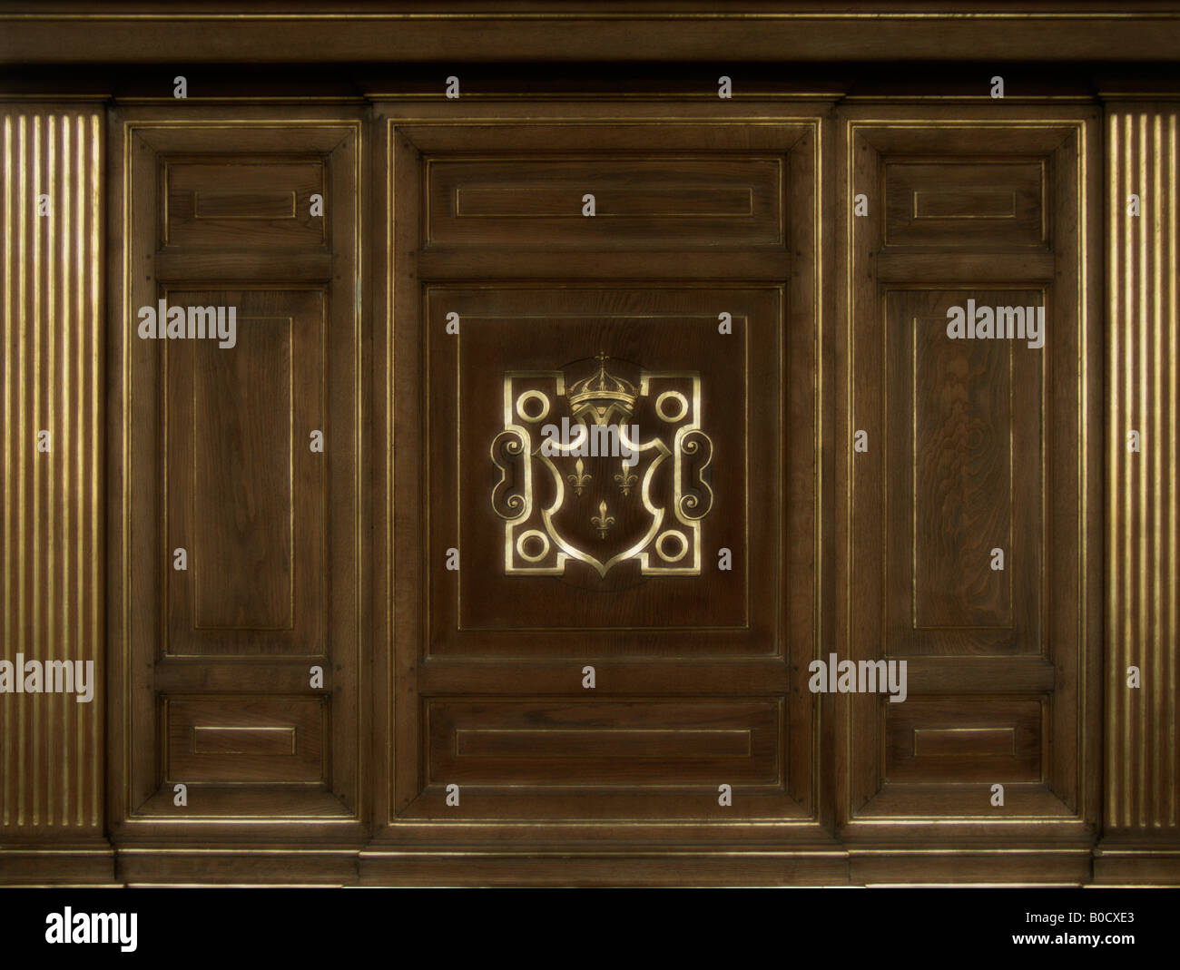 Salle de bal (salle de danse). Château de Fontainebleau (Fontainebleau). Département de Seine et Marne. La France. Banque D'Images