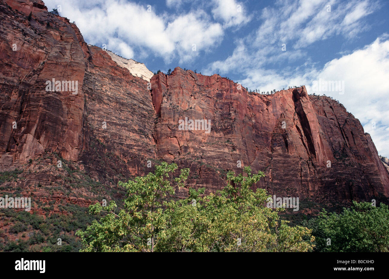 Zion Canyon Zion National Park Utah USA Banque D'Images