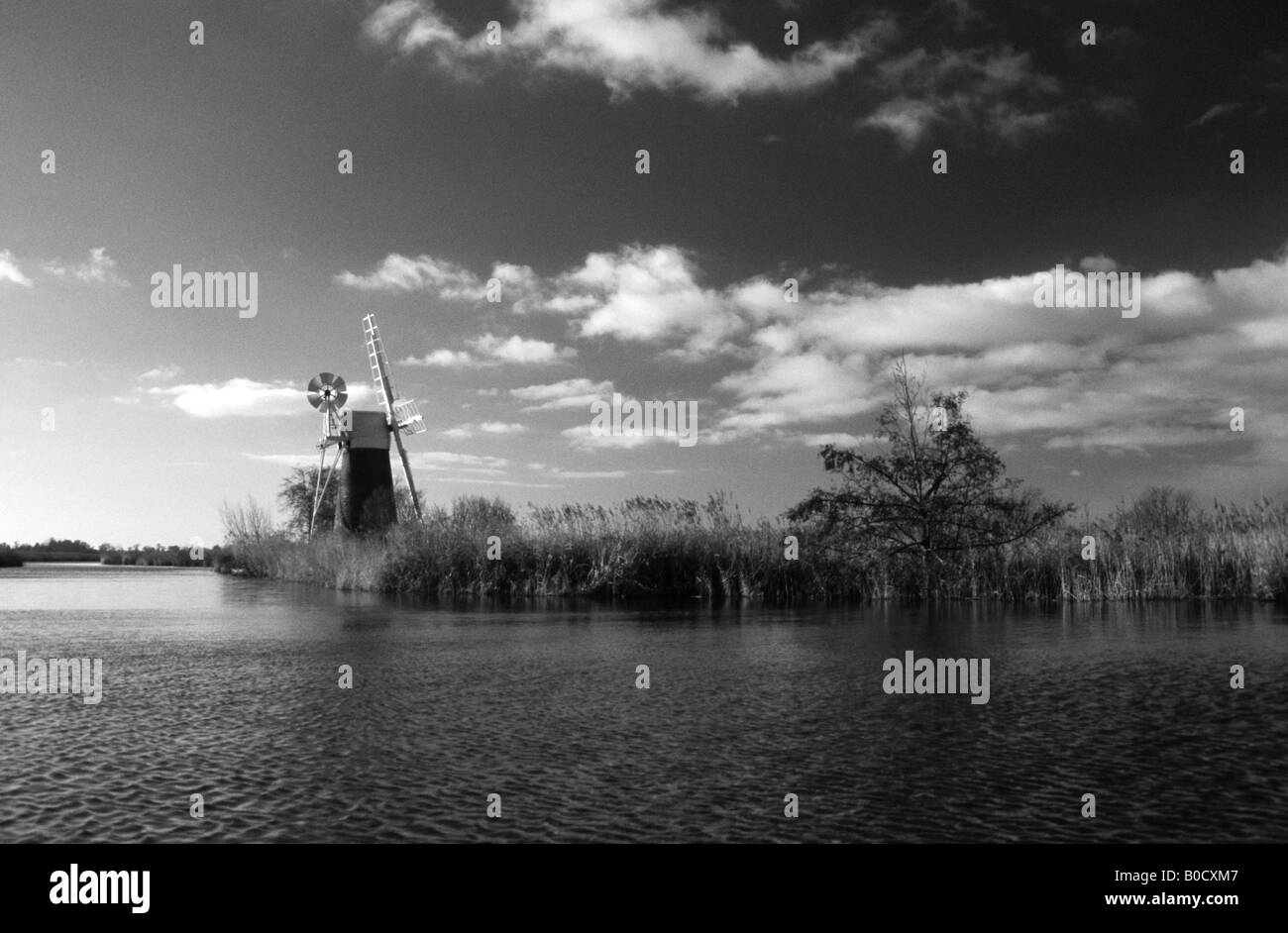 Fen Turg Bazin et la rivière Ant Banque D'Images