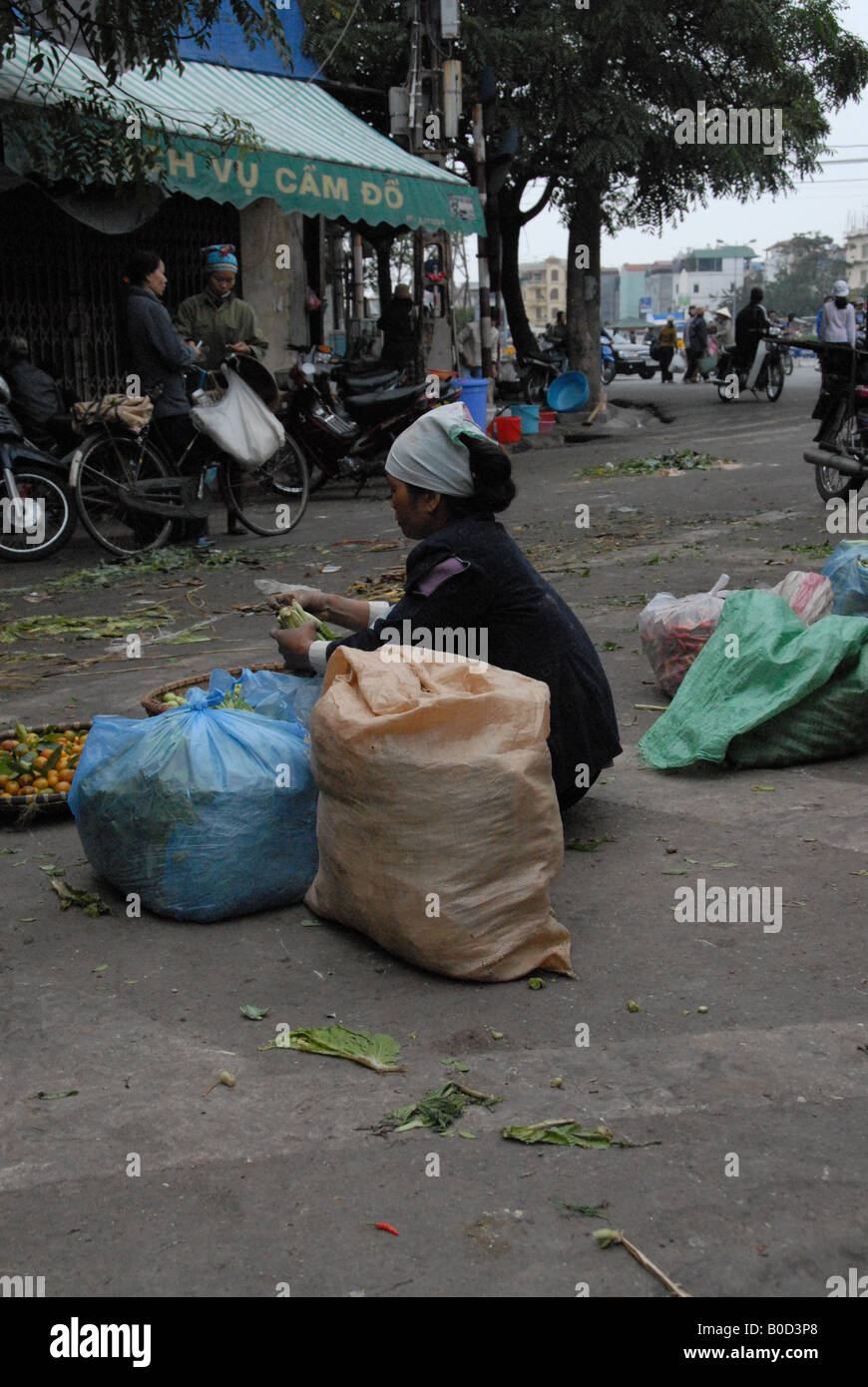 Camelots qui vendent des marchandises dans les rues de Hanoi Banque D'Images
