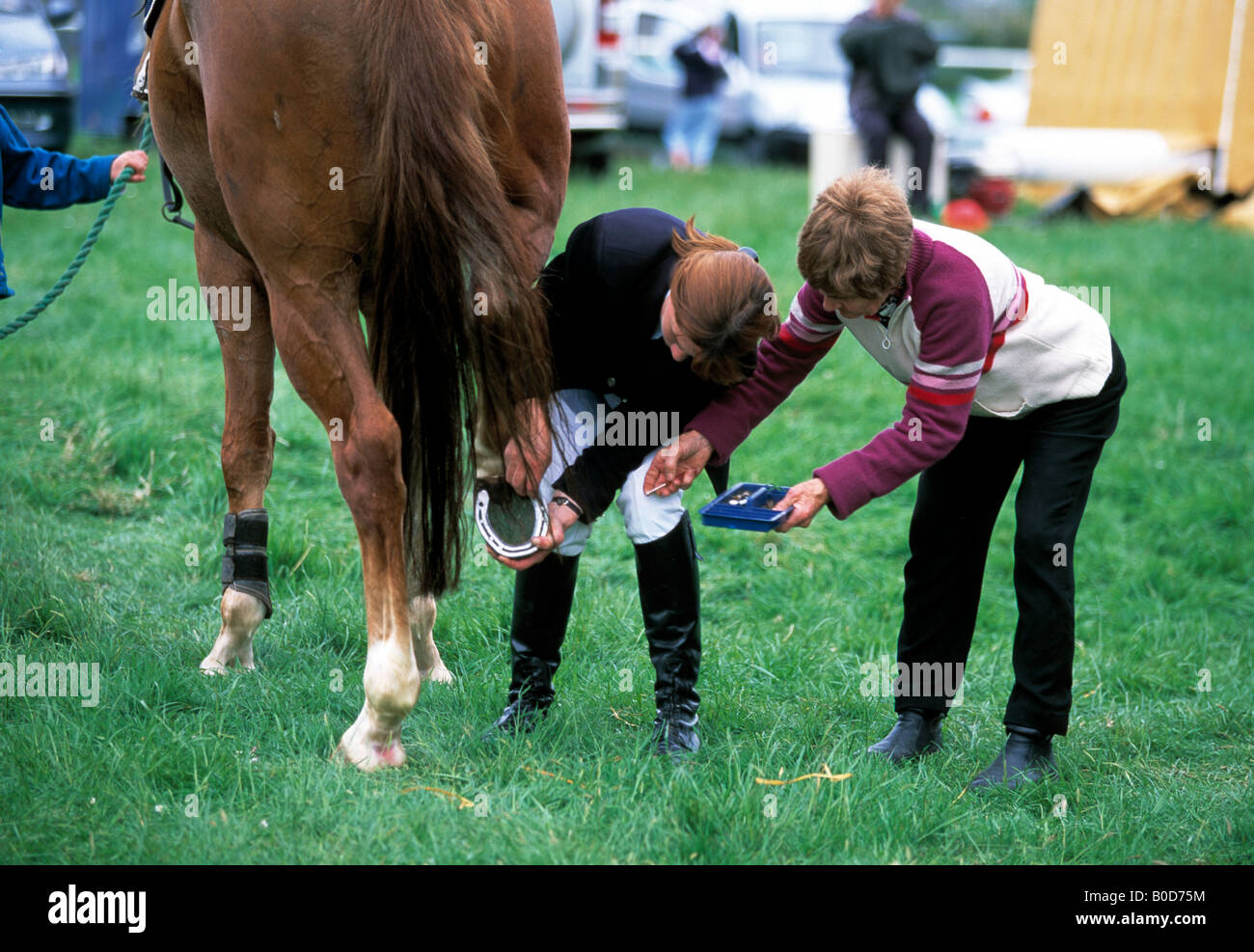 Le comté de Limerick, Irlande, deux femmes l'examen d'un sabot des chevaux  à un événement équestre en Irlande Photo Stock - Alamy