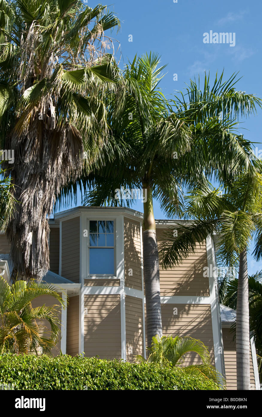 Nouvelle maison en bois dans un style ancien à l'Annexe Truman domaine de Key West en Floride Banque D'Images