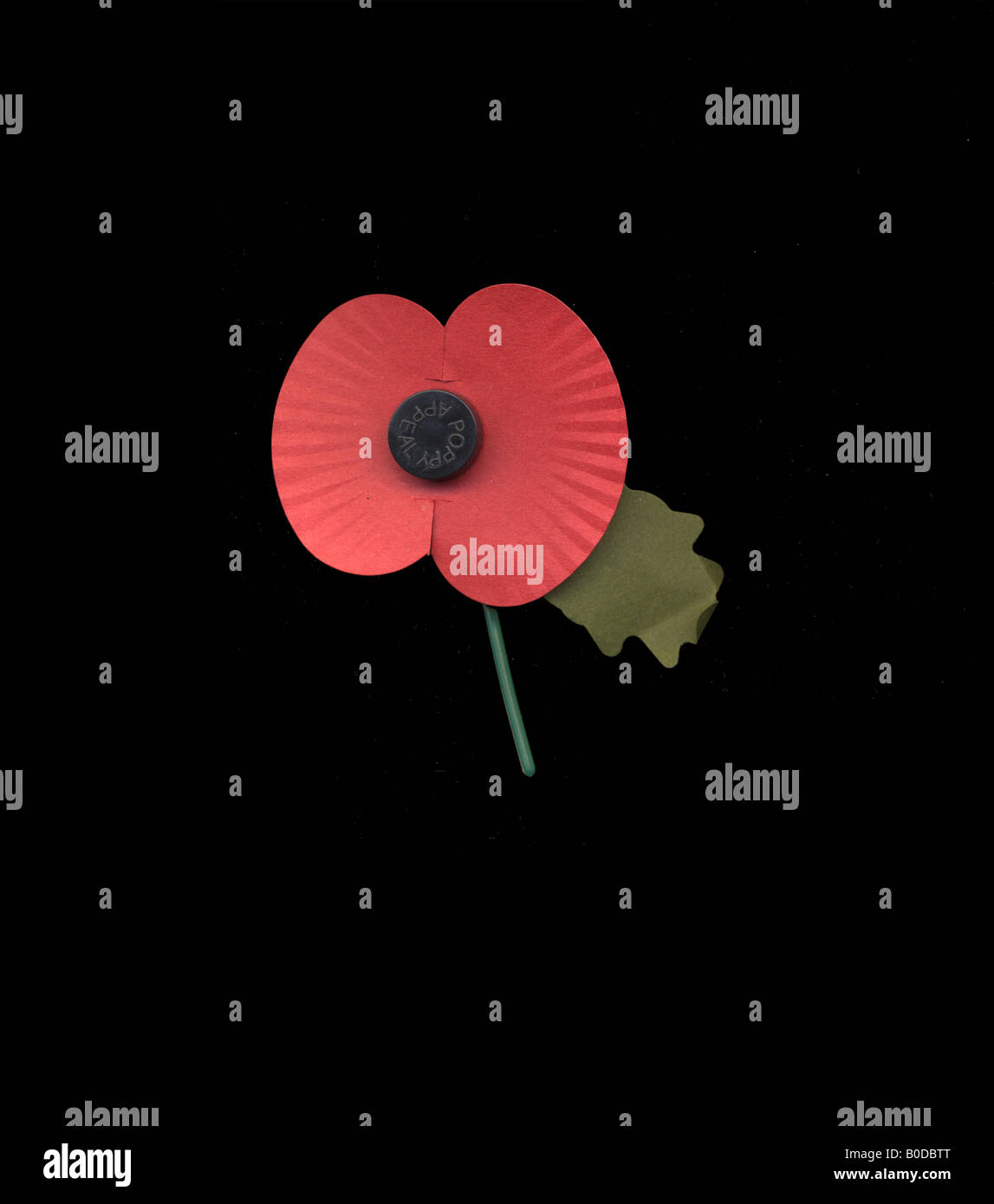 La vie toujours du papier et de la British popy plastice campagne du coquelicot, qui sont portés le 11 Novemmber Banque D'Images