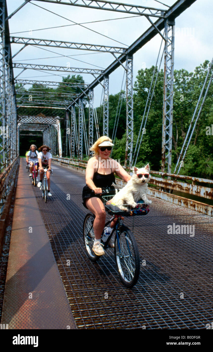 Vtt femme avec son petit chien dans un panier parc d etat de Ohiopyle Photo Stock Alamy