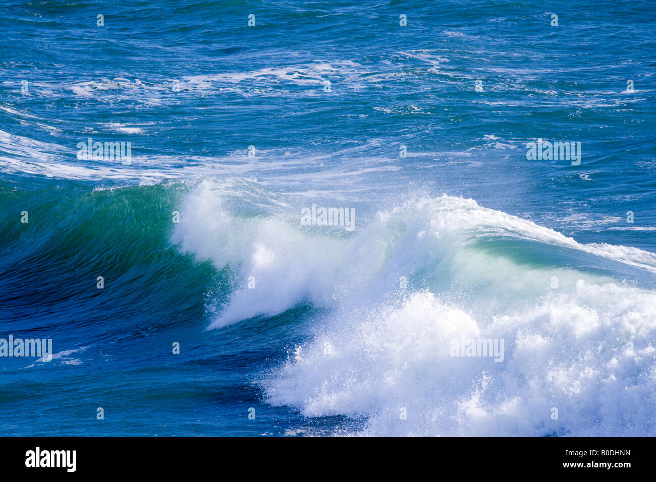 Puissant océan vagues près de la côte Pacifique de la Californie Banque D'Images
