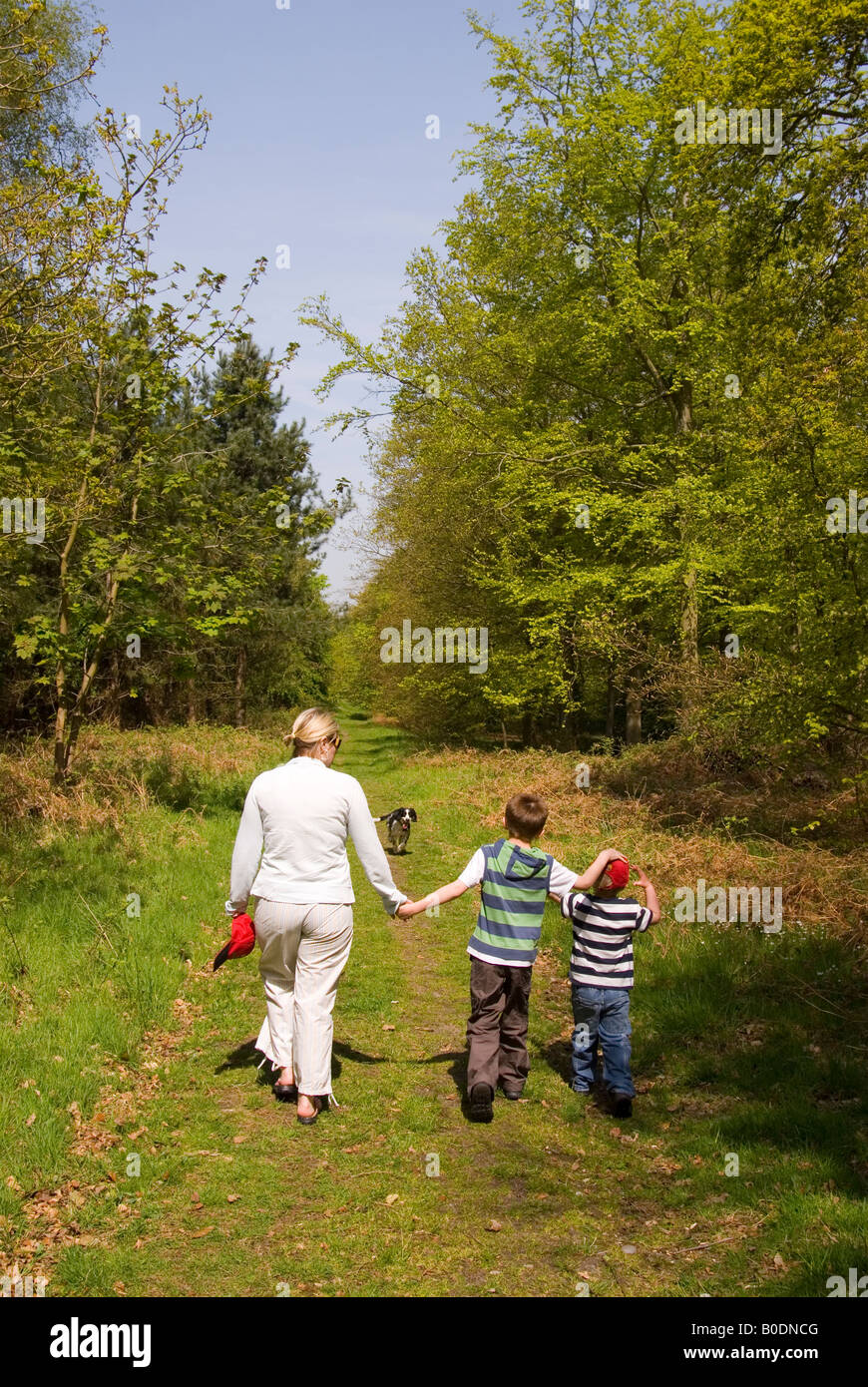 Famille Faire une promenade à Dunwich Forest,Suffolk, Royaume-Uni Banque D'Images