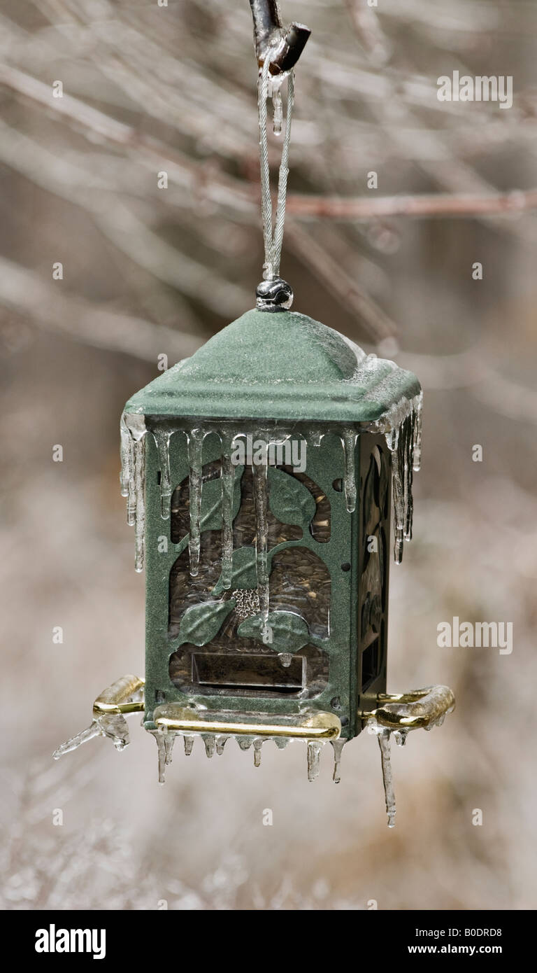 Ornate Mangeoire recouverte de glace après la tempête Banque D'Images