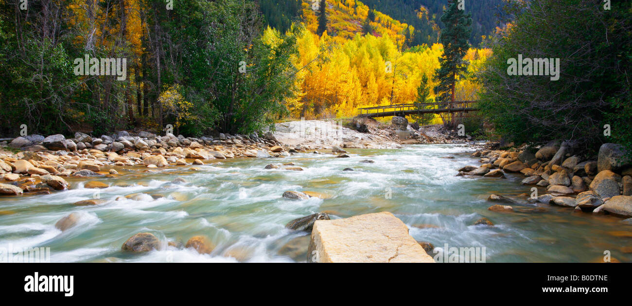 Roaring Fork River, San Isabel National Forest, Colorado Banque D'Images