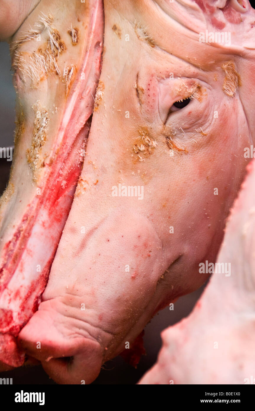 Sciés dans la moitié des têtes de porcs de marché à vendre à Valence, Espagne Banque D'Images