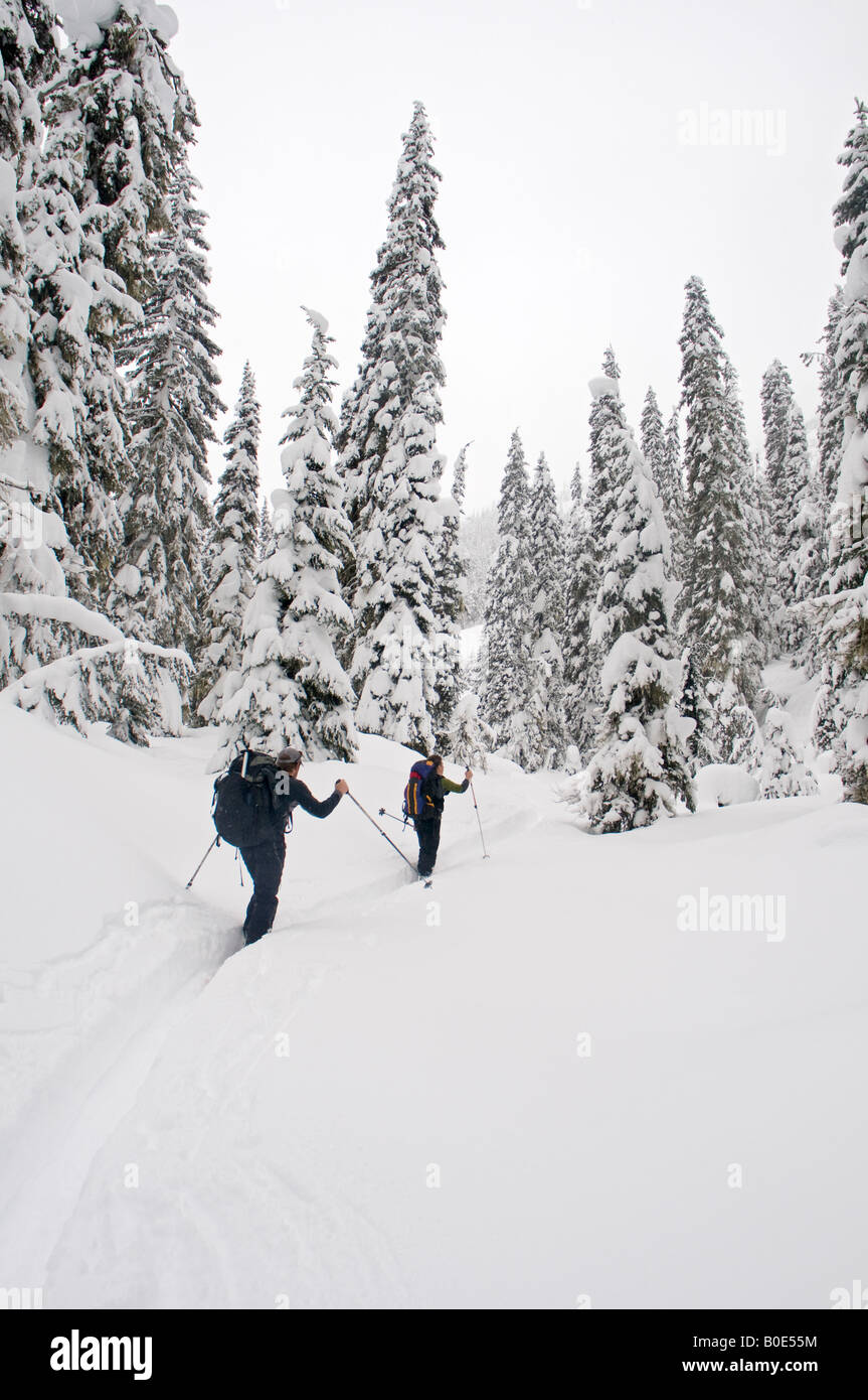 Deux randonneurs s'écorcher dans l'arrière-pays de montagnes Selkirk British Columbia Canada Banque D'Images