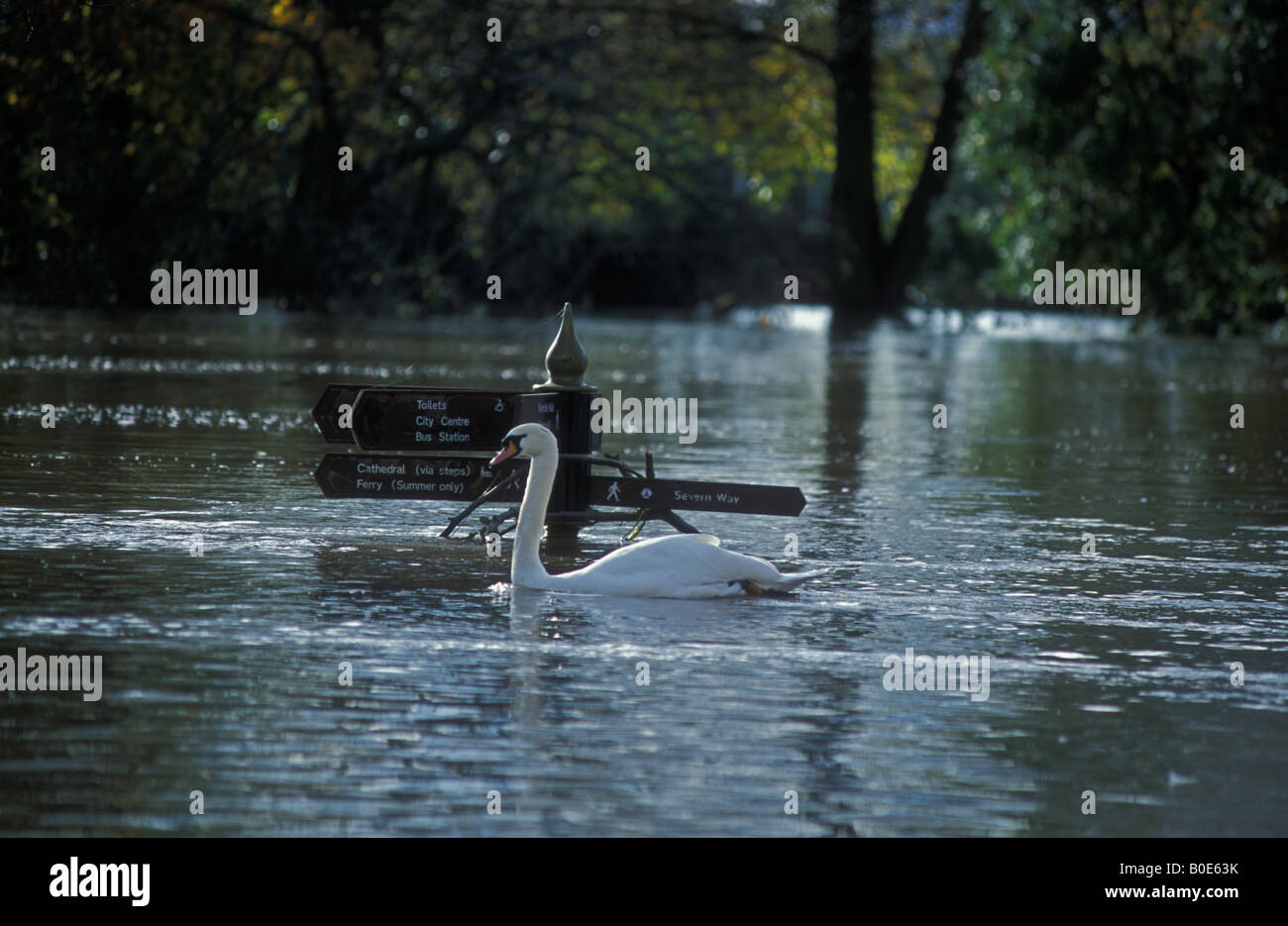 Les inondations sur la rivière Severn Worcester Angleterre Novembre 2000 Banque D'Images