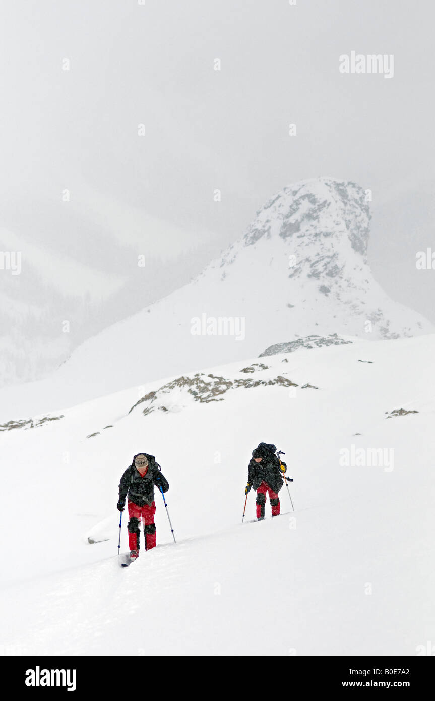 Ski nordique de l'écorcher les sept étapes du Paradis, glacier Asulkan, Selkirk, British Columbia Canada Banque D'Images