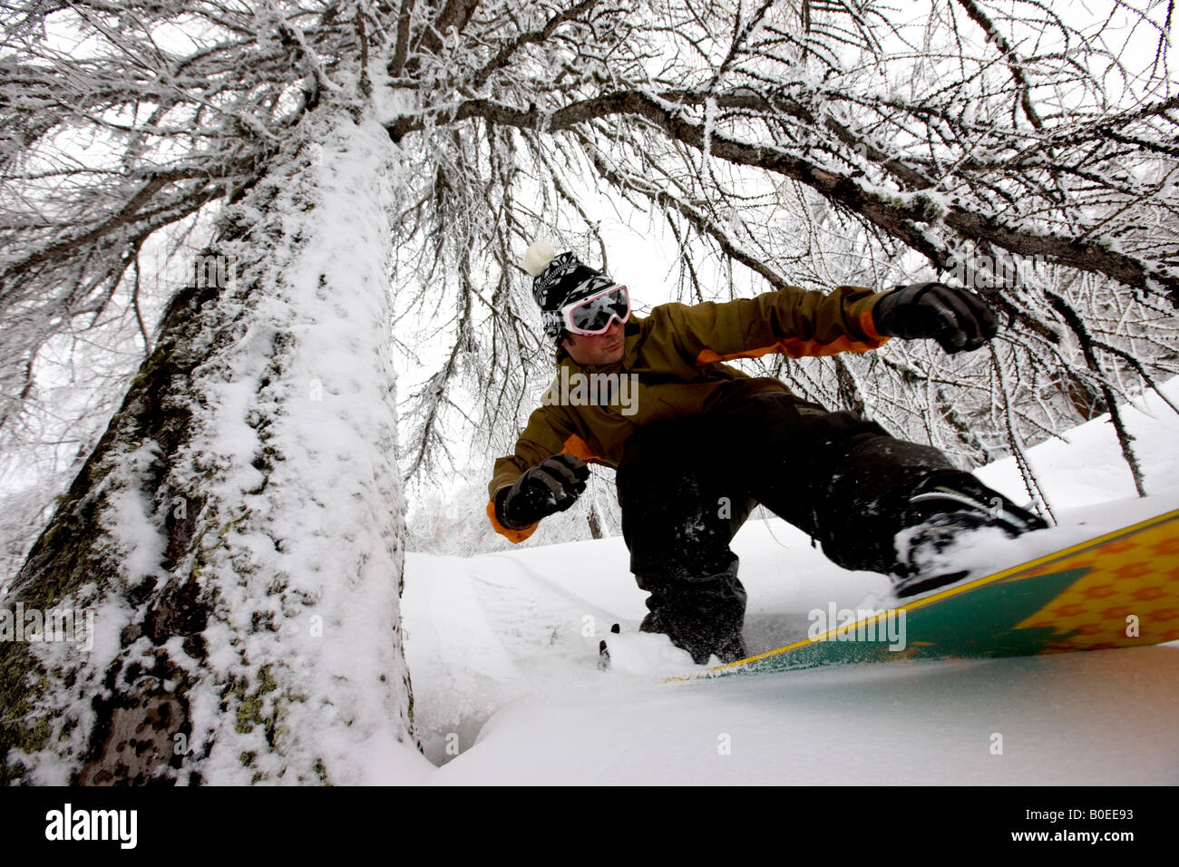 Snowboarder riding hors piste à travers les arbres Banque D'Images