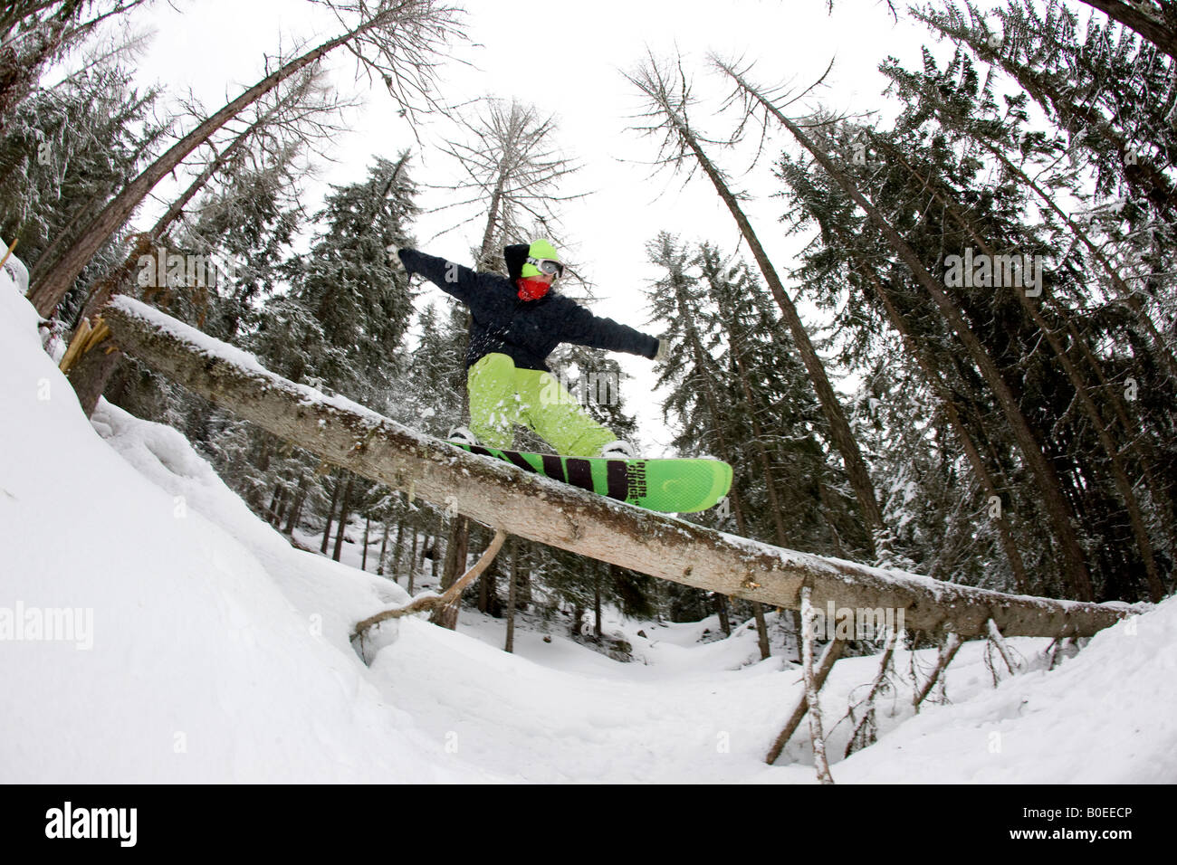 Zac Burke glisse un arbre dans les Alpes françaises. Banque D'Images