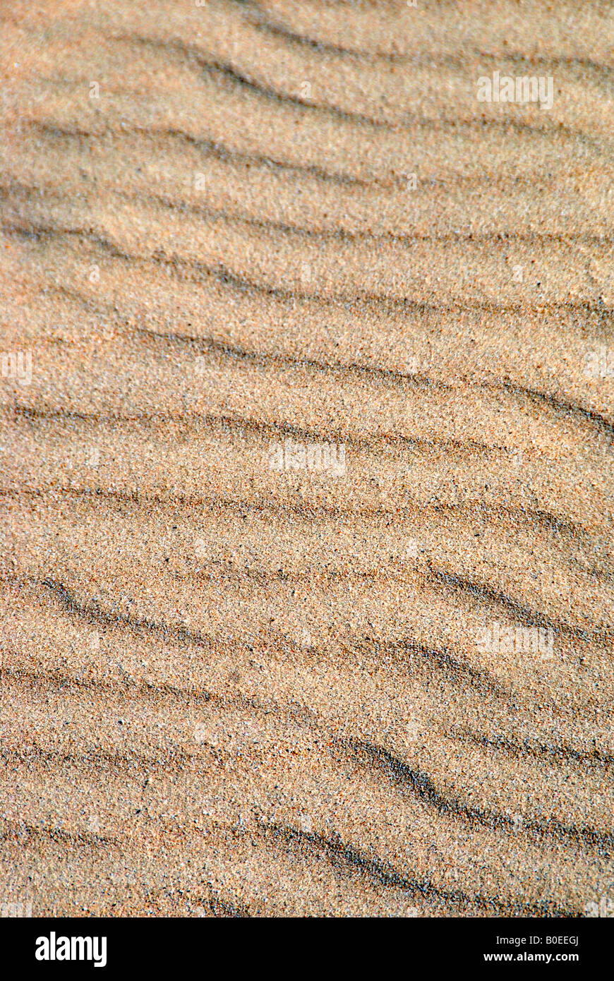Vaguelettes sur la plage de sable Banque D'Images