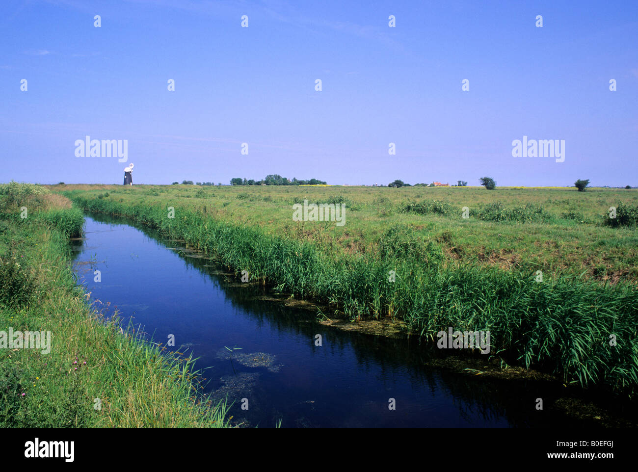 Marais Halvergate Norfolk Broads RSPB de faune de la pompe éolienne paysage paysage anglais télévision RSPB de faune de l'East Anglia Banque D'Images