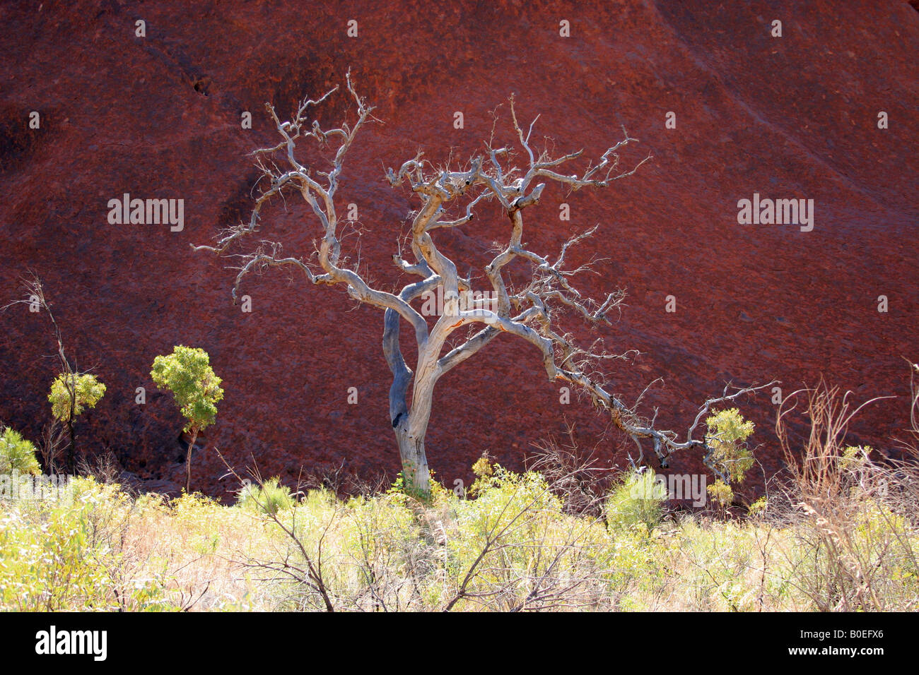 Ayers rock Australie Banque D'Images