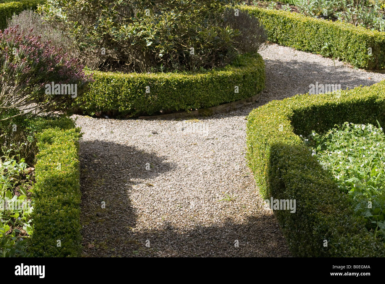 Zone de faible couverture et chemin de gravier dans le jardin formel Banque D'Images