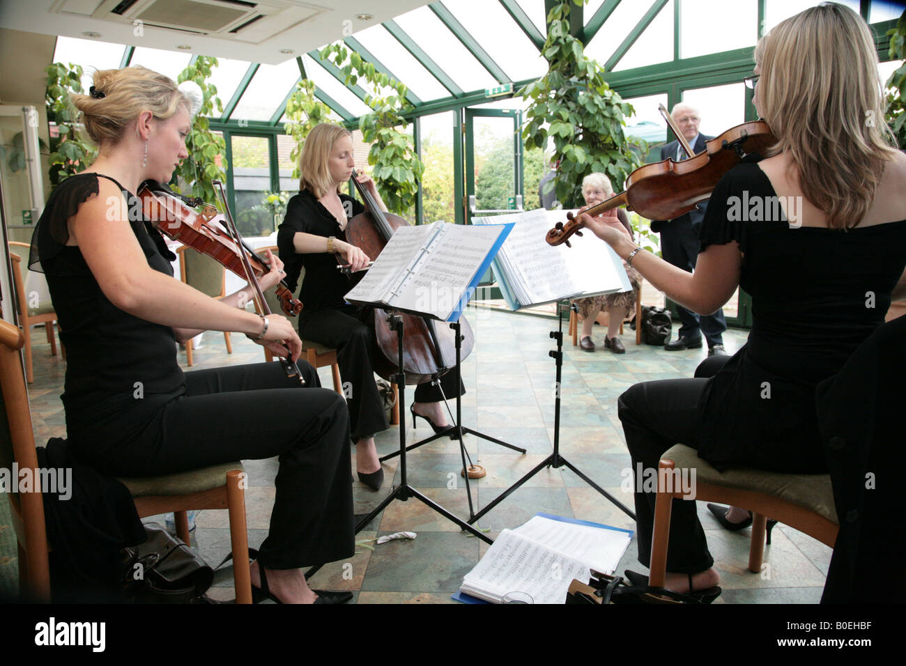musique de chambre Banque D'Images