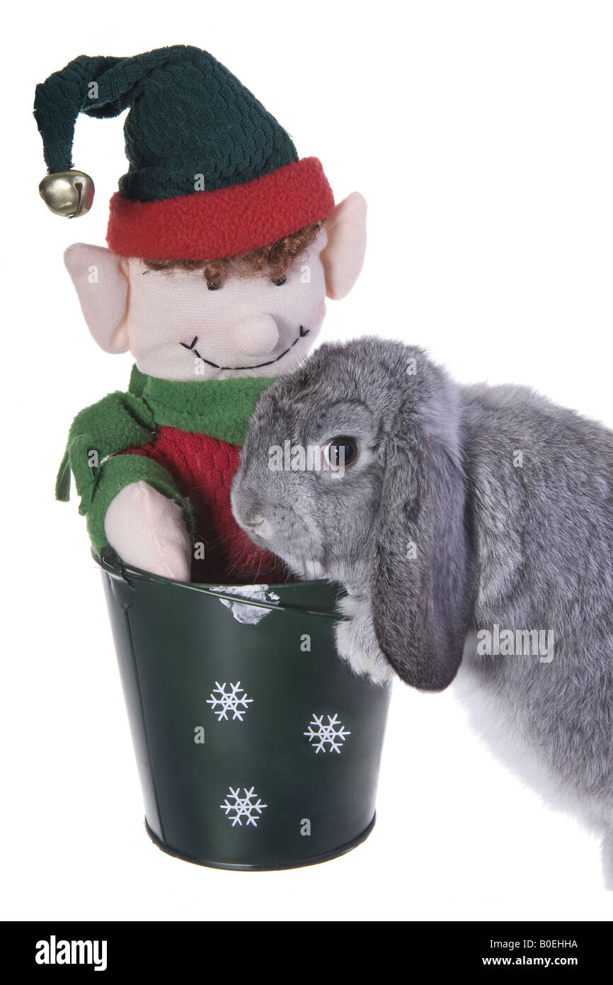 Noel Mignon Mini Gris Bebe Lapin Belier Photo Stock Alamy