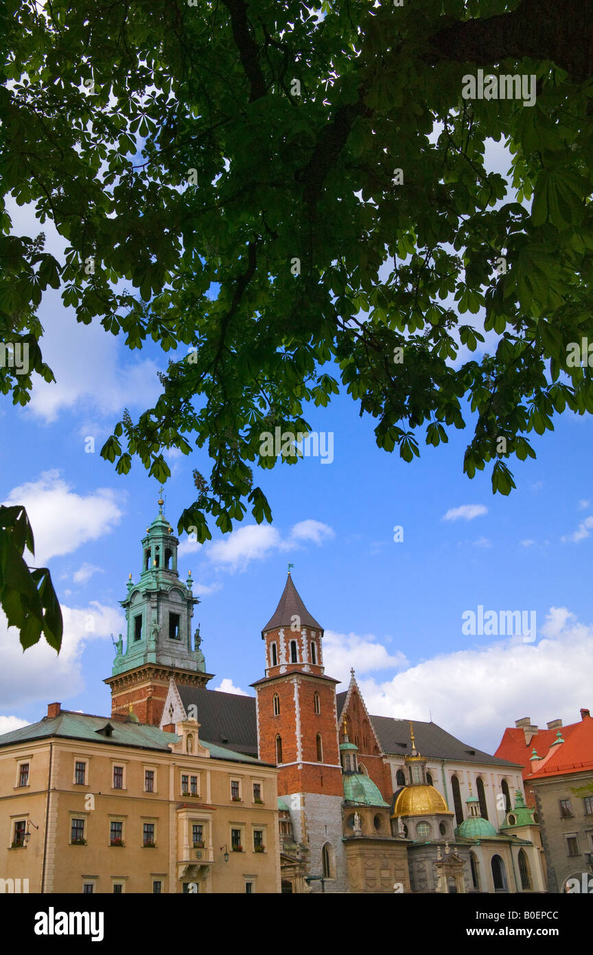 Château de Wawel Krakow Pologne Banque D'Images