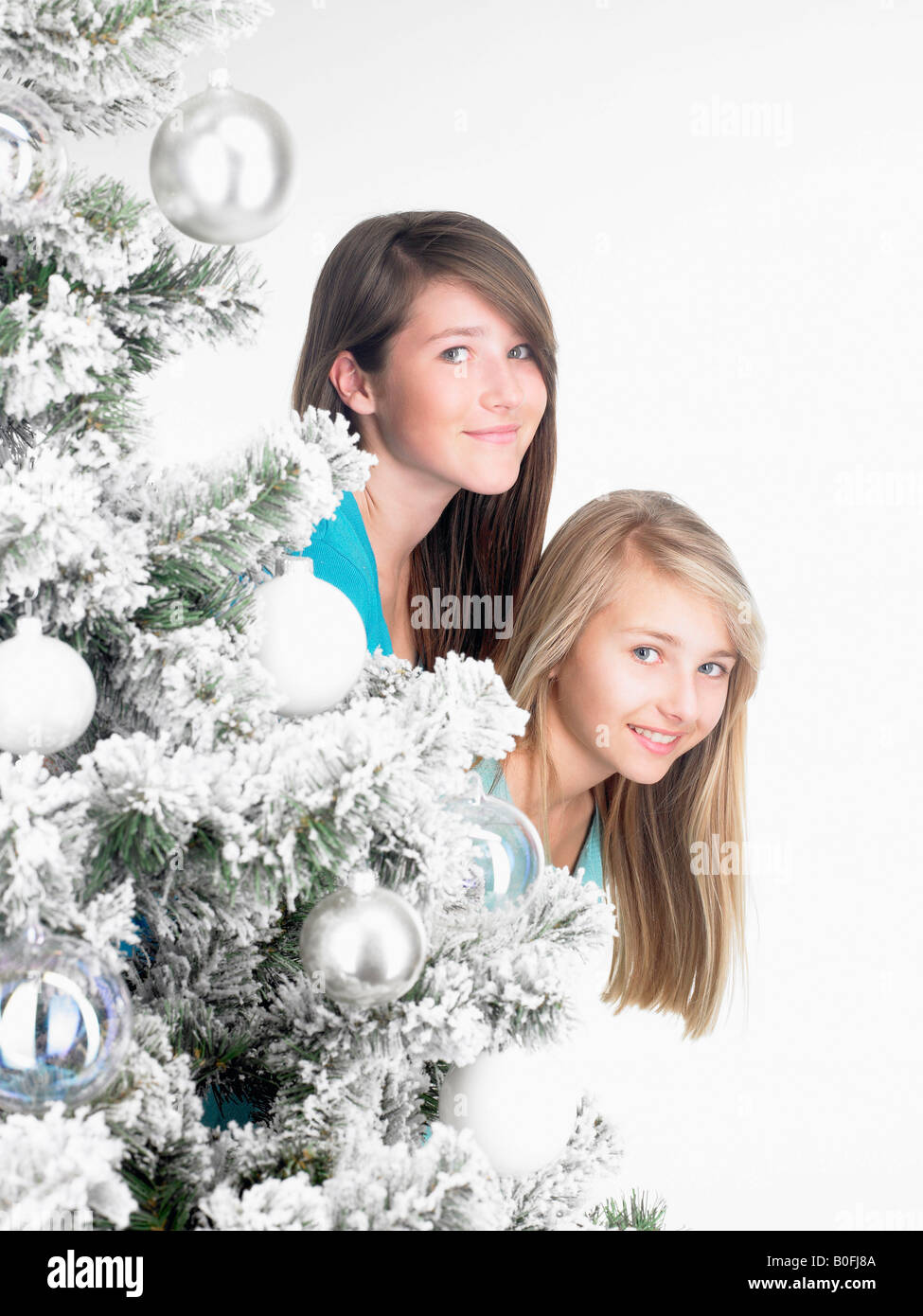 Les filles derrière un sapin, smiling Banque D'Images