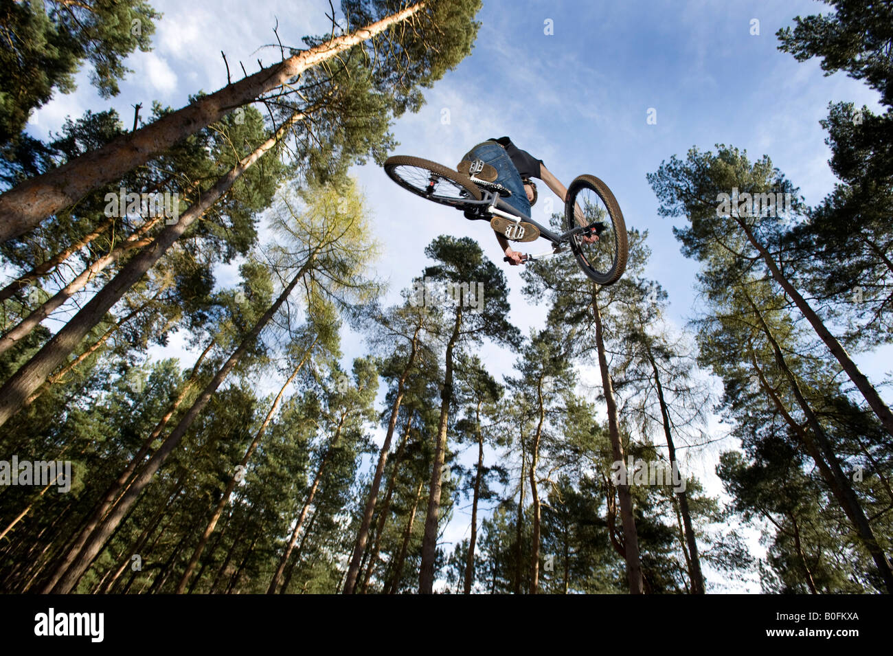 Vtt dirt freestyle sale