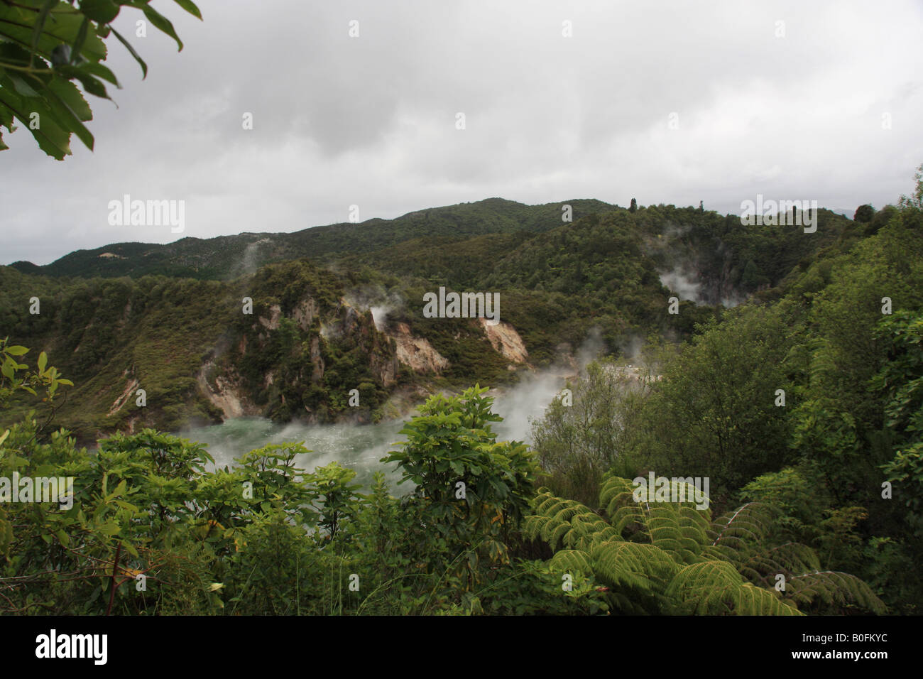Les installations thermiques autour de poêle Lac, la Vallée volcanique de Waimangu, Rotorua, Nouvelle-Zélande. Banque D'Images