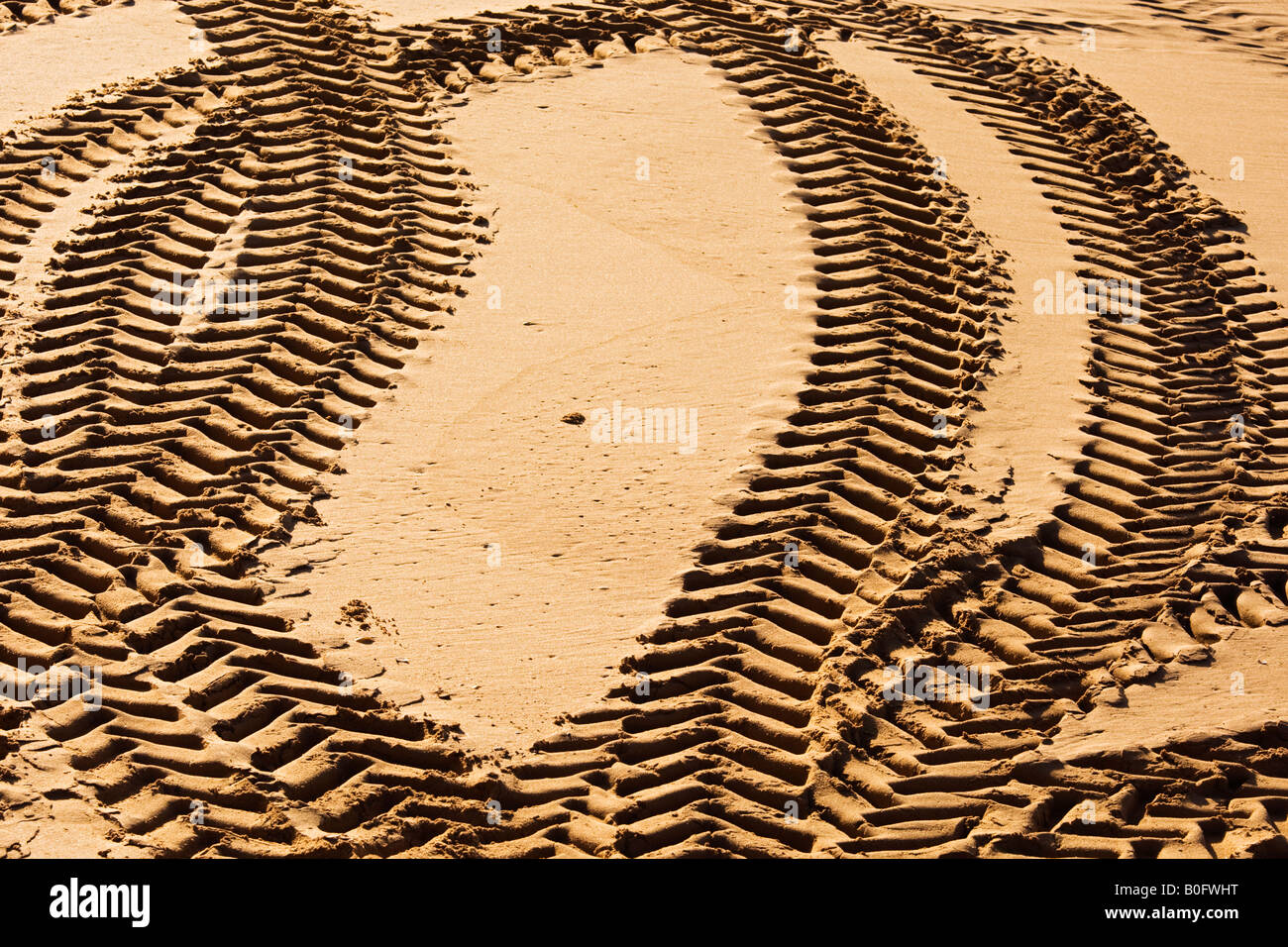 La voie du tracteur sur le sable de la plage, Portugal, Europe Banque D'Images