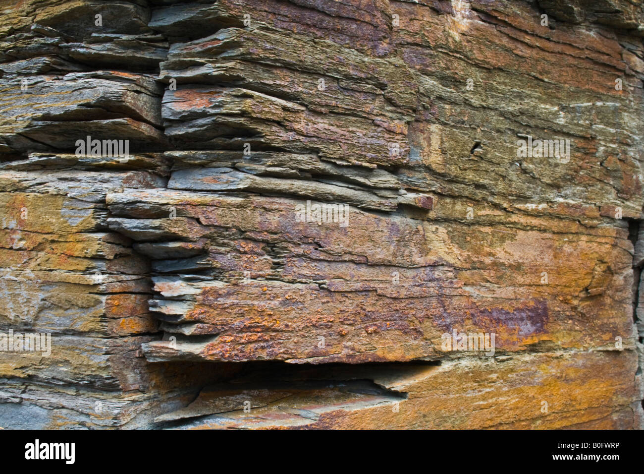 Roche jurassique Kimmeridge Bay, Dorset, Banque D'Images