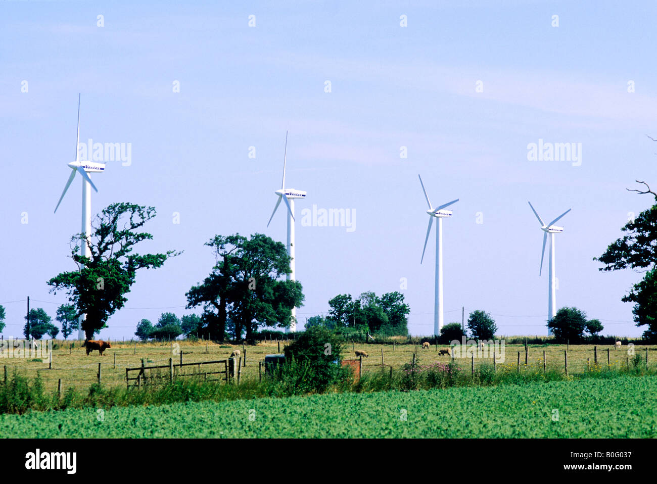 Wind Farm basés à terre, Cromer Norfolk Les éoliennes Vestas voiles l'énergie verte L'électricité England UK Banque D'Images