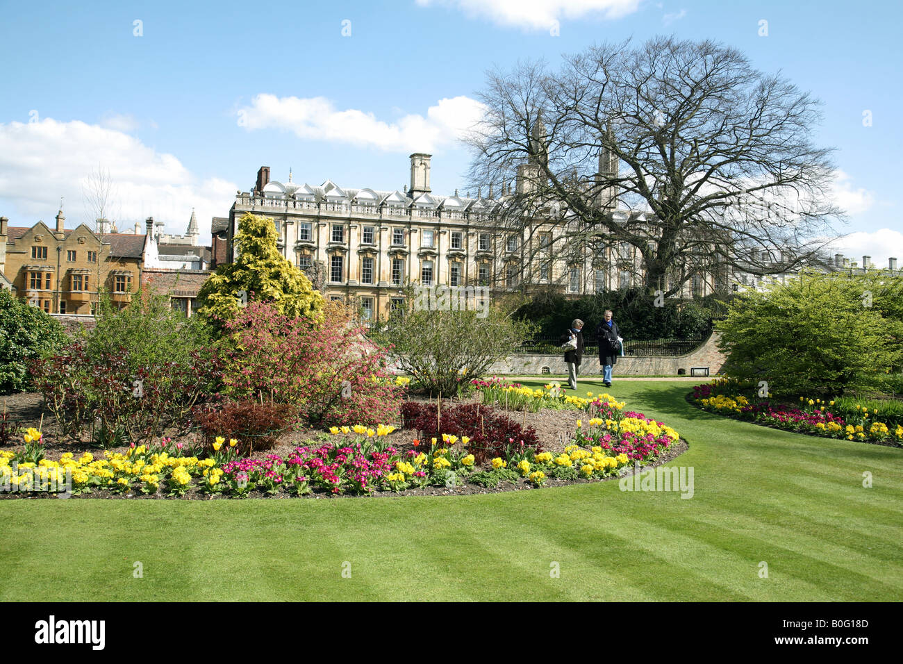 Clare College, Cambridge vu depuis le jardin Fellows sur un matin de printemps Banque D'Images