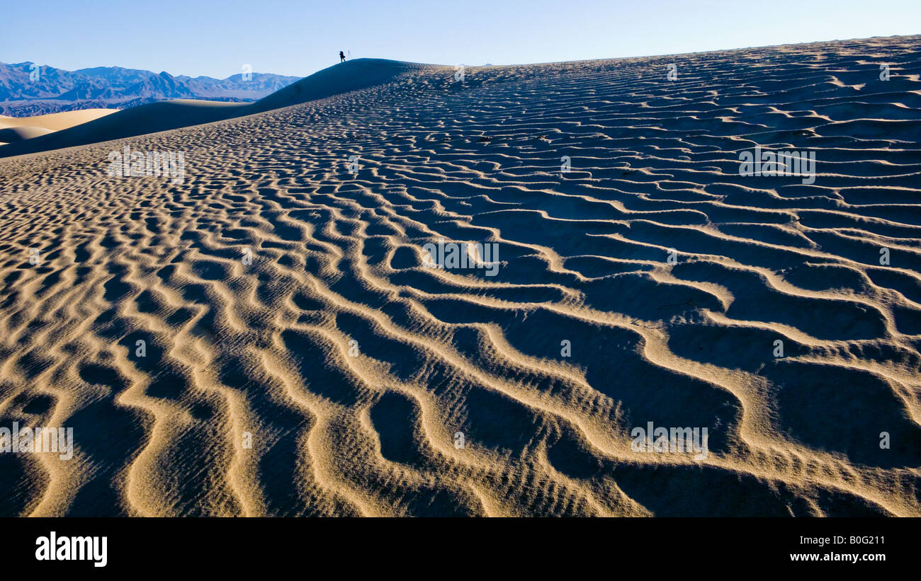 Dunes de sable de Stovepipe Wells Death Valley National Park Californie USA Banque D'Images